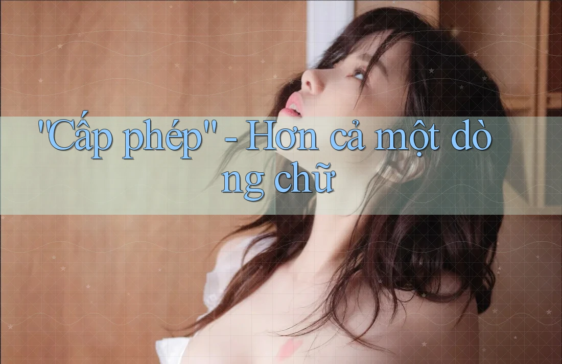 “Cấp phép” - Hơn cả một dòng chữ “Cấp phép” - Hơn cả một dòng chữ