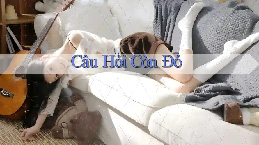 Câu Hỏi Còn Đó Câu Hỏi Còn Đó