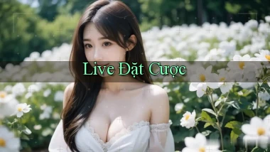 Live Đặt cược