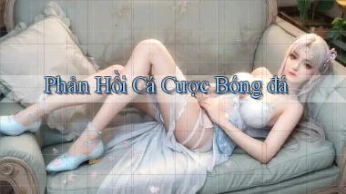 Phản hồi Cá cược bóng đá