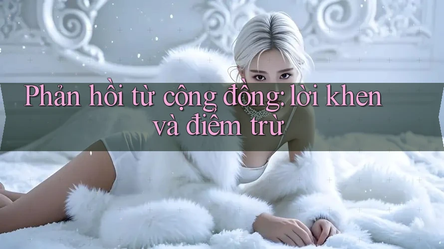 Phản hồi từ cộng đồng: lời khen và điểm trừ Phản hồi từ cộng đồng: lời khen và điểm trừ