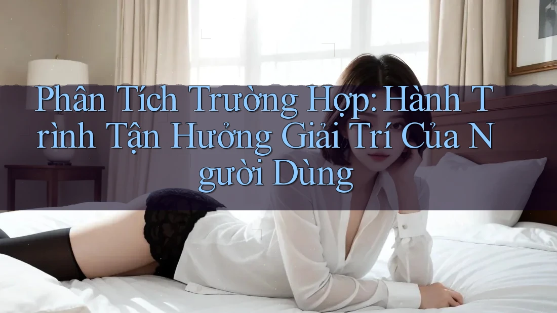 Phân Tích Trường Hợp: Hành Trình Tận Hưởng Giải Trí Của Người Dùng Phân Tích Trường Hợp: Hành Trình Tận Hưởng Giải Trí Của Người Dùng