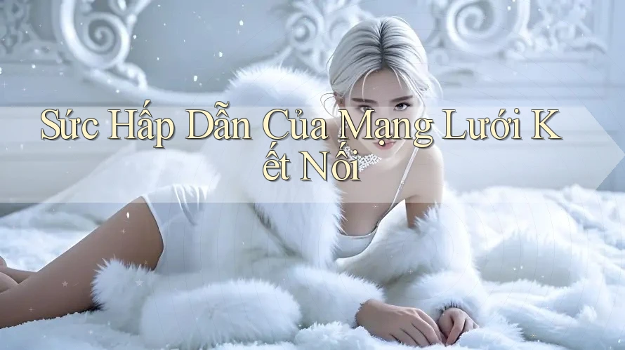 Sức Hấp Dẫn Của Mạng Lưới Kết Nối