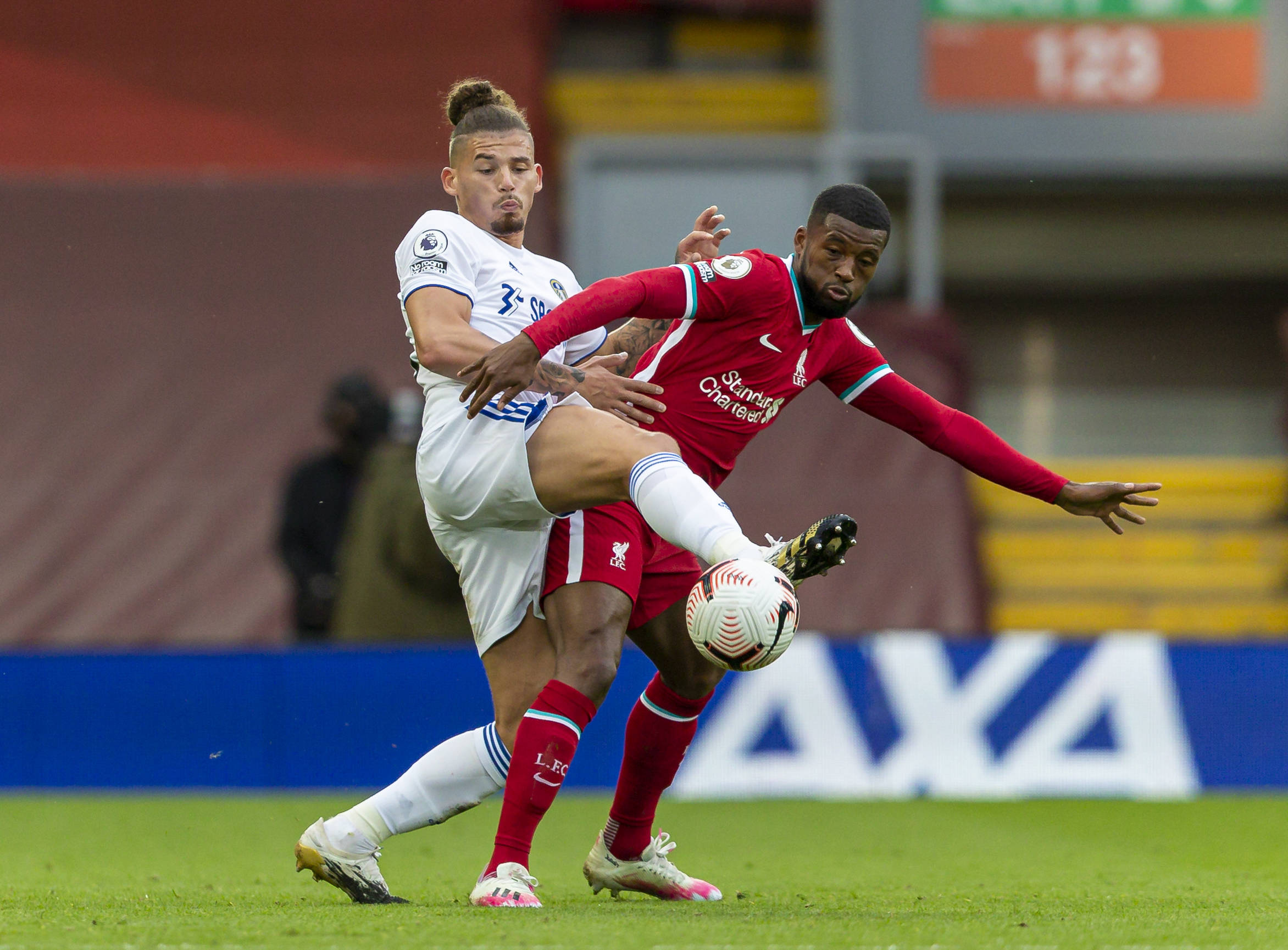 中的第8条 中的第8条